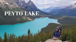 Peyto Lake (Never Disappoints) | Hidden Viewpoint | Must See | Banff National Park | Icefield Parkwa