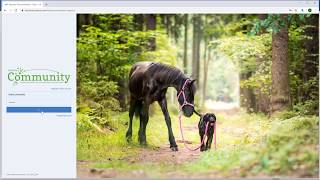 Keystone Community Training | DICOM Viewer | Veterinary Image Management Software