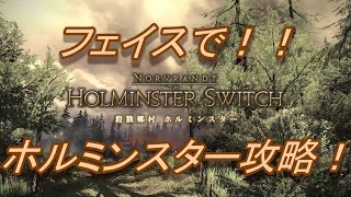 FF14 ホルミンスターをフェイスで攻略！