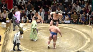 Ozeki Kotoshogiku (6-8) - Yokozuna Harumafuji (10-4) , Sumo : Natsubasho '15