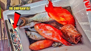 MANCING DI SPOT ULUWATU SELALU DAPAT IKAN INI? TRIP MABAR 13.05.2022