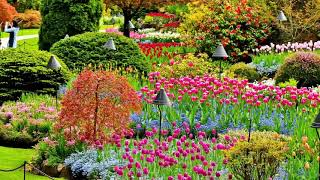 Canada beautiful flower gardens Beautiful Relaxing Music, Peaceful Soot Music, "The Celtic Forest"