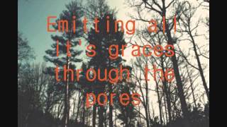 Fineshrine - Purity Ring Lyrics