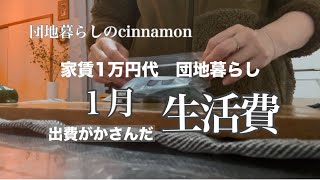 【無職の収入源】厳しい現実を柔軟に生きること / ほころびと向き合う / 50代 vlog【団地暮らし】【ひとり親】