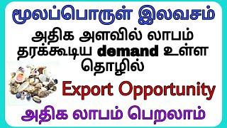 மூலப்பொருள் இலவசம் || அதிக demand உள்ள தொழில் ||  Zero investment  || Seashell business in tamil