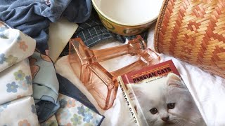 cheap charity shop / thrifted homeware and clothing haul