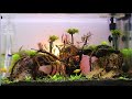 diy co2 for planted aquarium tagalog tutorial with english subtitle