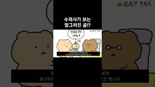 수의사가 분석한 망그러진 곰의 특징 #shorts