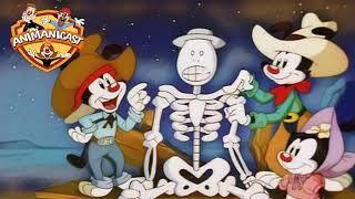 91- Animanicast episode 91 Discussing Animaniacs Back in Style and Bones in the Body