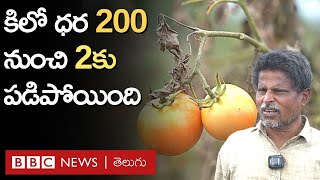 Tomato price : ‘టొమాటో సాగుతో కోట్ల రూపాయలు వచ్చాయంటే మేం కూడా పంట వేశాం. తీరా చూస్తే..’ BBC Telugu