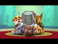 paw patrol pups have weird dreams 3 w rubble 10 minutes nick jr.