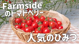 Farmsideのトマトベリー「人気の秘密」