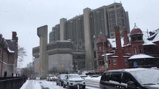 Toronto Wintery Walk - Tour Of The University Of Toronto Campus During A Snowstorm - 4K