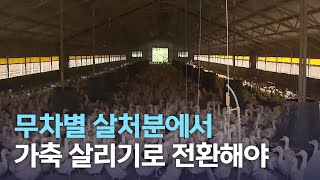 무차별 살처분에서 가축 살리기로 전환해야 | 전주MBC 220325 방송