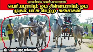 பிரிவு-2 பூஞ்சிட்டு திருவாப்படி பந்தயம்||07/02/2021||Thiruvappadi poonchtu Panthayam  today