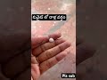 కువైట్ లో రాళ్ల వర్షం rain youtubeshorts