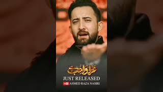 Azaa Wajib hain | Ahmed Raza Nasiri new noha 2023 | 1445