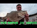 STRONGEST FRESHWATER FISH  vs  NEW DAIWA CERTATE ! River Spillway Fishing for FREAK FISH!