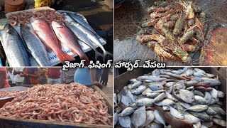 వైజాగ్ ఫిషింగ్ హార్బర్ చేపలు/Vizag Fishing Harbour Fishes//fish cutting  videos at vizag port/fishes