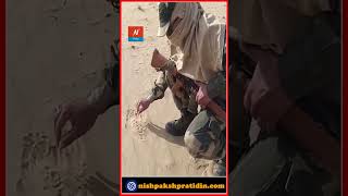 रेत पर पापड़ सेंक रहे जवान। #Bikaner #BSF #Summer #Heat #India #Rajasthan #Trending #ViralVideo