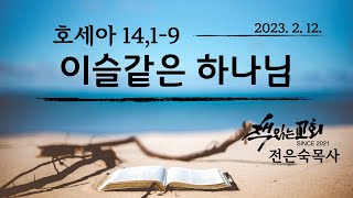 책읽는교회 전은숙목사 | 호세아 14,1-9 이슬같은 하나님