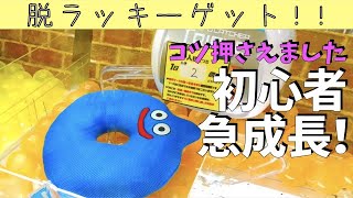 【クレーンゲーム】欲しいものは自力でGETしたい！1発台意外あまりやらない初心者が大好きなドラクエのため各種設定に挑む！【ドラクエ】