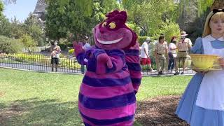 Cheshire Cat causing TROUBLE! // Disneyland