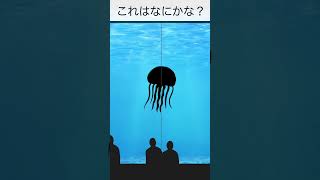 【英語 子供向け】水族館で海のいきもの名前を覚えよう！お魚がピークアブー！ いないいないばあ！ #Shorts