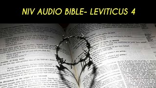 LEVITICUS 4 NIV AUDIO BIBLE (with text)