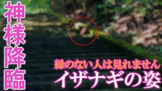 ⚠️イザナギ様、龍神様、精霊が現れる奇跡の映像。お姿が見えたら奇跡の力で願いが叶います。もし逃したら二度とありません【天赦日】高千穂・二上神社遠隔参拝313