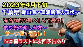 カマスとアジが好調の館山港〜富浦新港へ！人気の釣り場の現状…