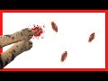 👉Cat Games - CATCHING COCKROACH 🪳 [10 Hours]