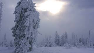 Winter on Turbacz (1310m asl) - Gorce Mountains