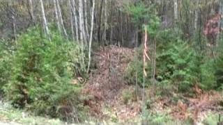 Maine Land For Sale, Springfield ME 45+ Acres. MOOERS #8291