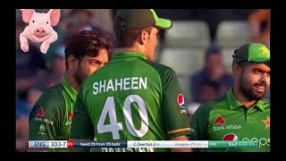 Pakistani cricketers fight during the match - Sarfaraz vs Shadab
