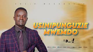 USINIPUNGUZIE MWENDO-OBEID MAHANDULE(Audio Lyrics)