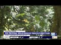 public hearing set for pge proposal that would remove five acres of forest park trees