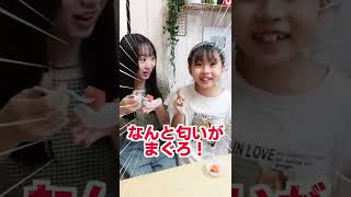 スイカ＋醤油＝まぐろになるらしい!!本当😳？？#shorts