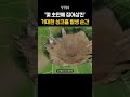 미 축구장에 발생한 거대 싱크홀 shorts ytn