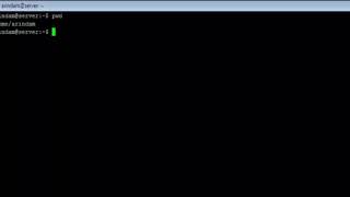 Linux - pwd Command - w3resource