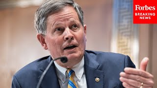 Steve Daines Calls On IRS To Crack Down On 'Erroneous IRS Audits Of Disabled First Responders'