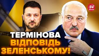 😲Щойно! У Лукашенка ВИЙШЛИ із заявою до Зеленського! Раптова реакція на СЛОВА про дзвінок