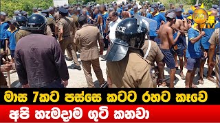 මාස 7කට පස්සෙ කටට රහට කෑවෙ  - අපි හැමදාම ගුටි කනවා - Hiru News