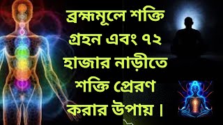 ব্রহ্মমূলে কীভাবে শক্তি নিতে হয় । ৭২ হাজার নাড়ীতে শক্তি প্রেরণ করার উপায়। ব্রহ্মমূল কি । JOY SONATON