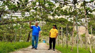 Kapag Hindi Productive ang Lupa - Philippine Agriculture, Mahirap parin ang Pinoy! Alamin Bakit?