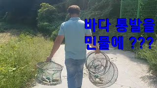 바다통발을 민물에 넣으면 이런게 잡혀요 !!!