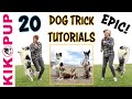 DOG TRICKS - 20 Trick Tutorials!