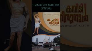 Chittattukara Feast |Perunal 2025#feast#celebration #syromalabar#catholic#shorts#church#keralachurch