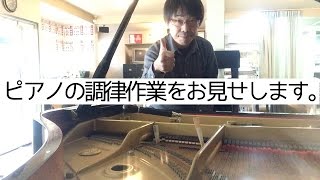 音の動きがわかりますか？調律の様子をお見せします。｜神戸市と三田市の楽器店・音楽教室 平瀬楽器