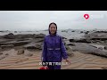 【老四赶海 u0026阿雄赶海 u0026阿烽赶海】渔妹冒着大雨赶海，独占海滩抓到不少货，一个人发了大财